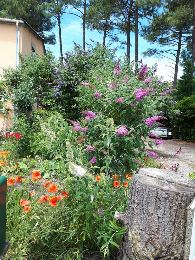 Le Relais De La Praya Bed and Breakfast Lège-Cap-Ferret Εξωτερικό φωτογραφία